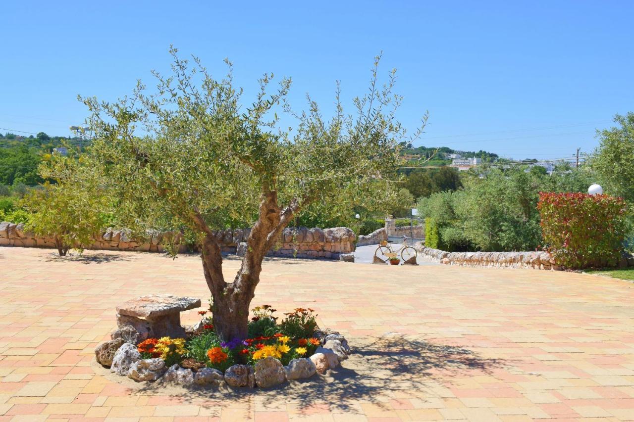 La Rosa Dei Trulli B&B Alberobello Eksteriør billede