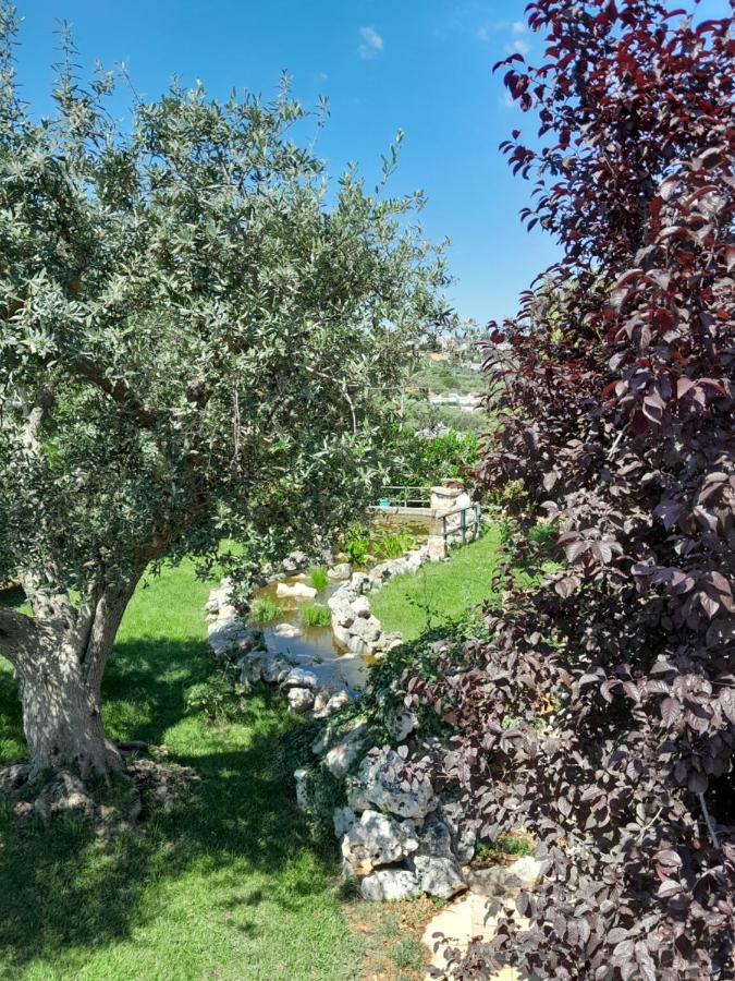 La Rosa Dei Trulli B&B Alberobello Eksteriør billede