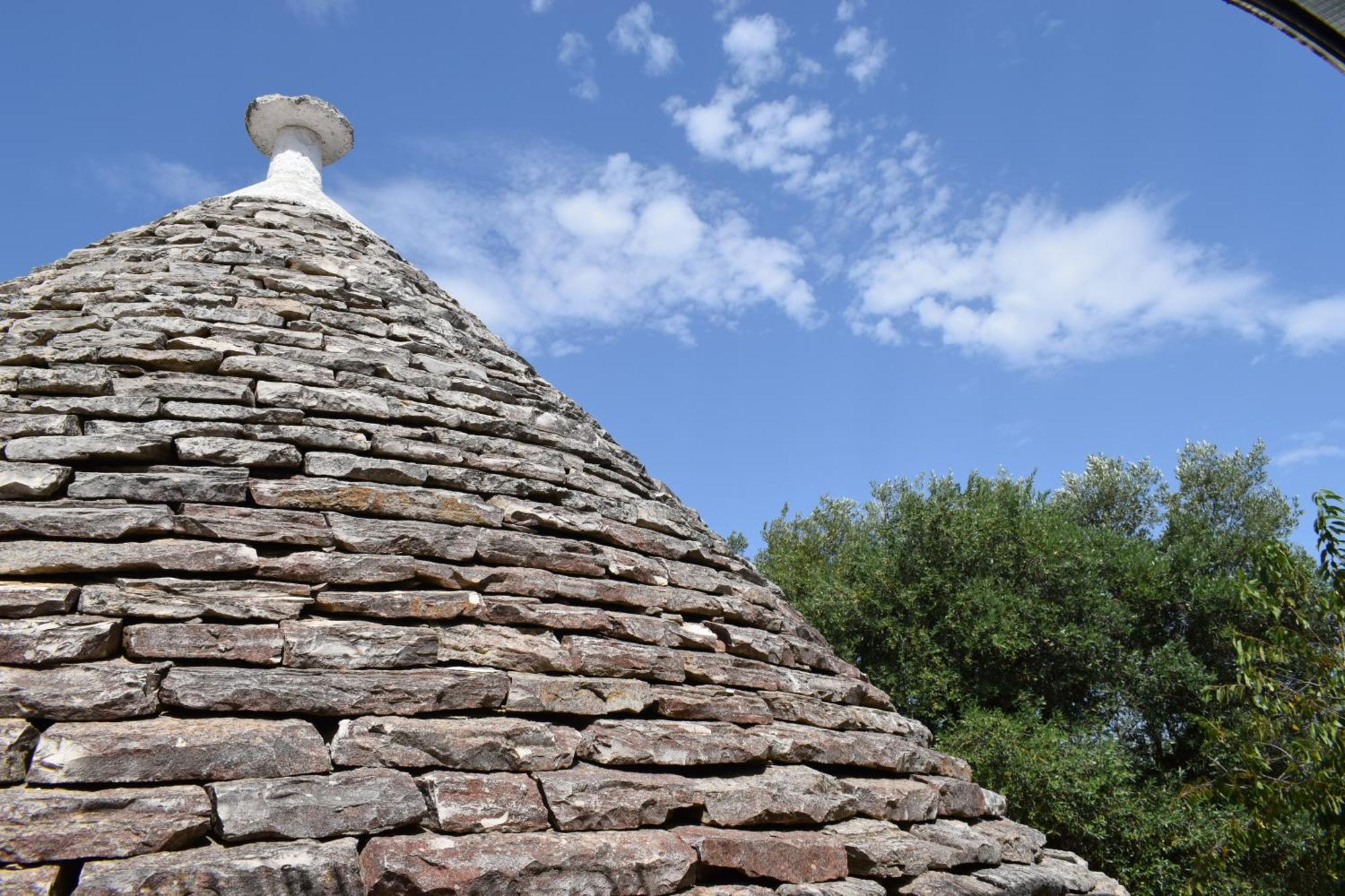 La Rosa Dei Trulli B&B Alberobello Eksteriør billede