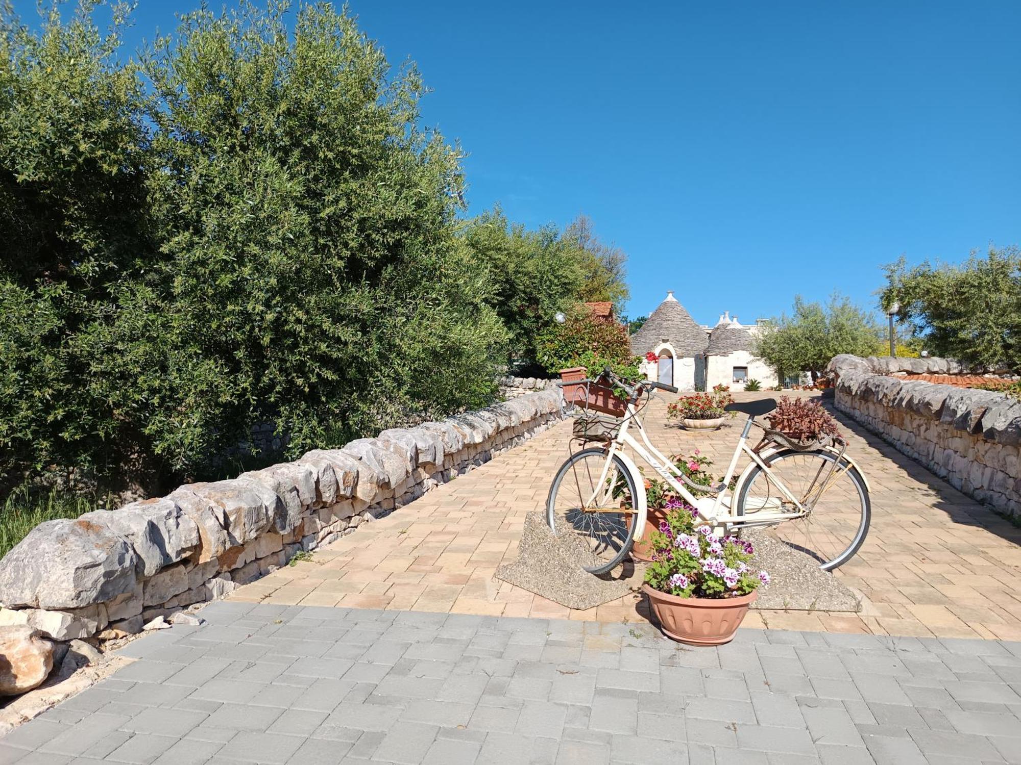La Rosa Dei Trulli B&B Alberobello Eksteriør billede