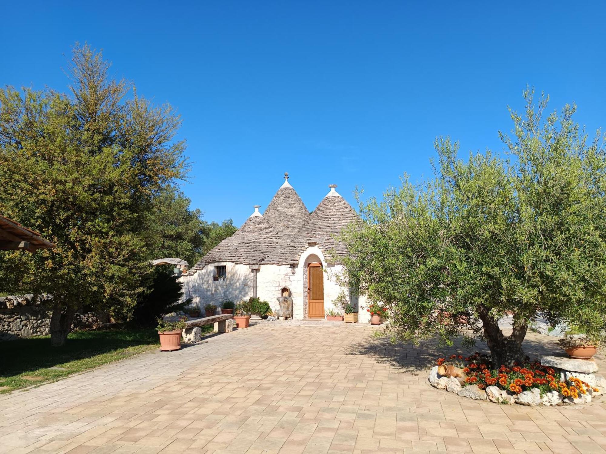 La Rosa Dei Trulli B&B Alberobello Eksteriør billede