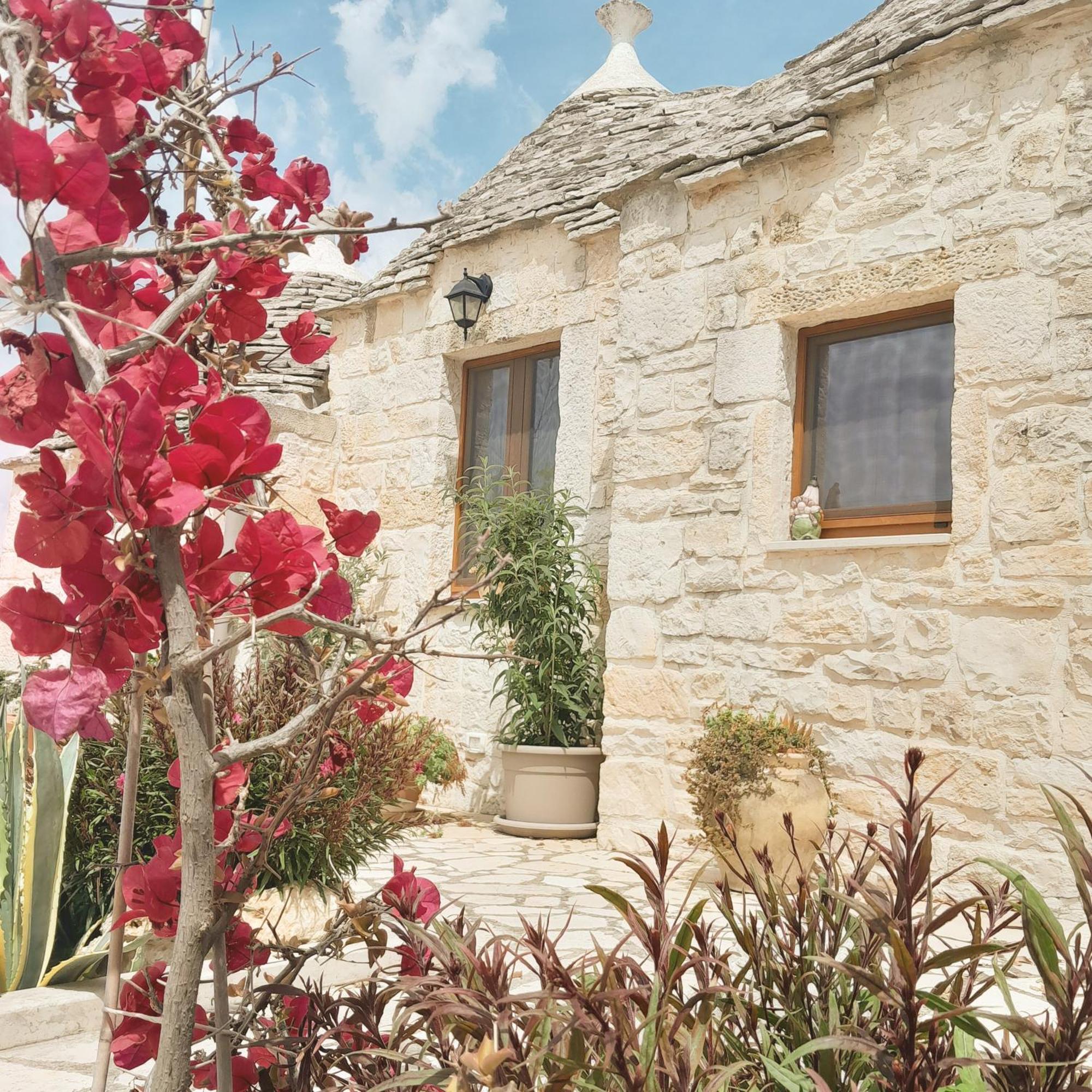 La Rosa Dei Trulli B&B Alberobello Eksteriør billede