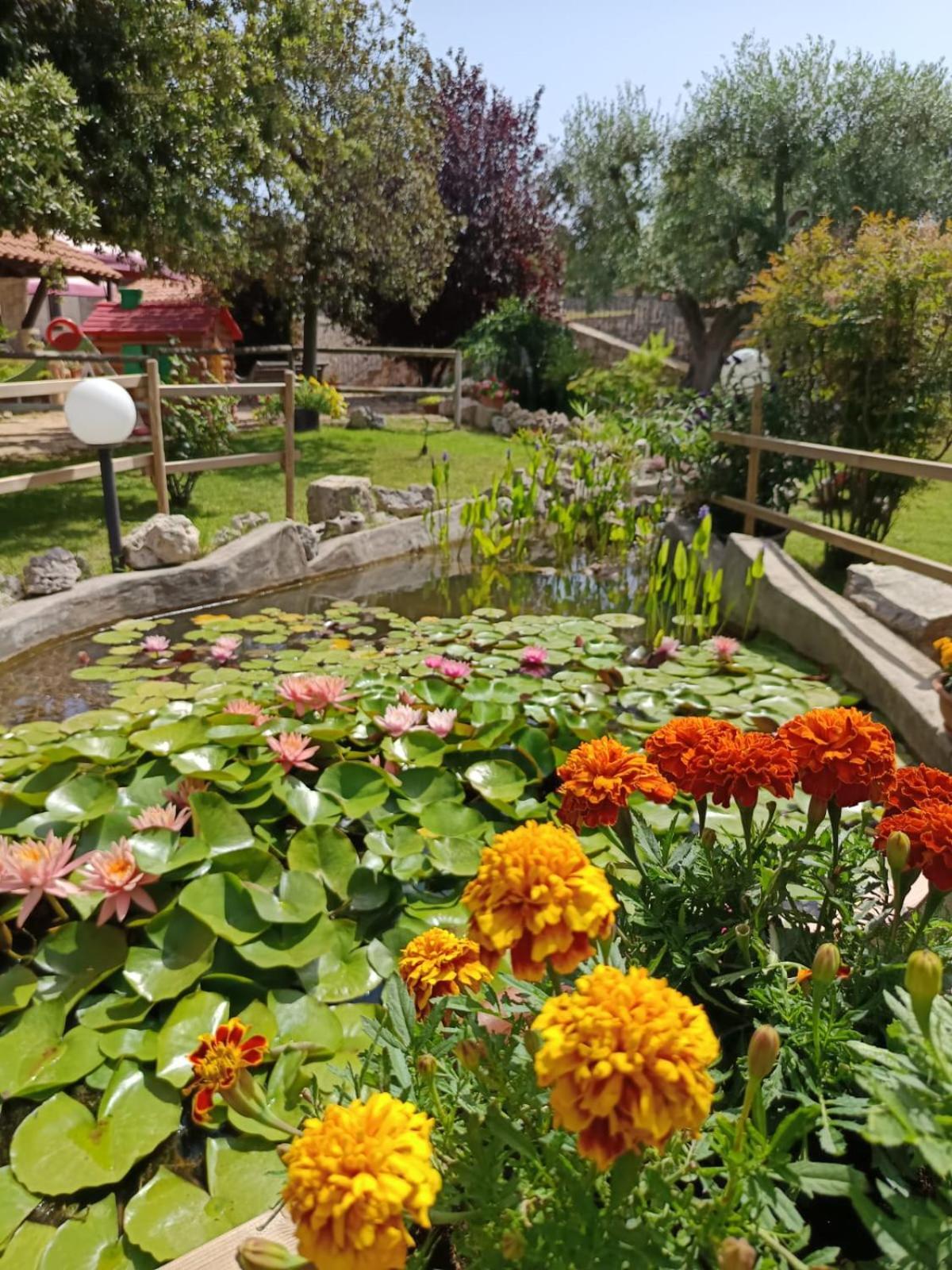 La Rosa Dei Trulli B&B Alberobello Eksteriør billede