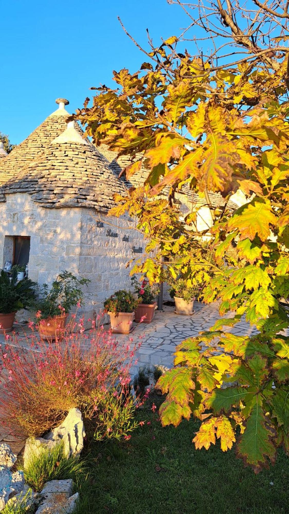 La Rosa Dei Trulli B&B Alberobello Eksteriør billede
