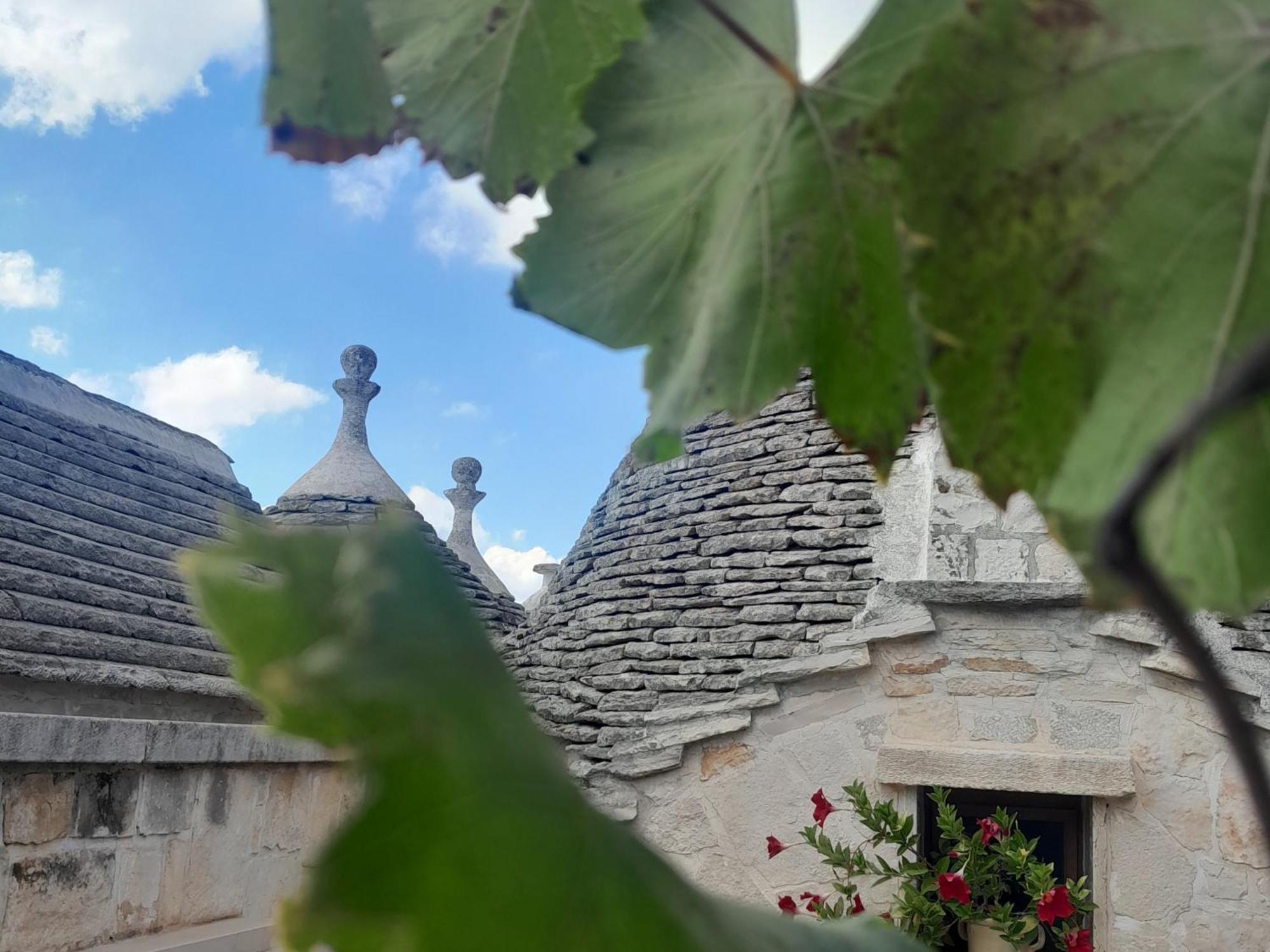 La Rosa Dei Trulli B&B Alberobello Eksteriør billede
