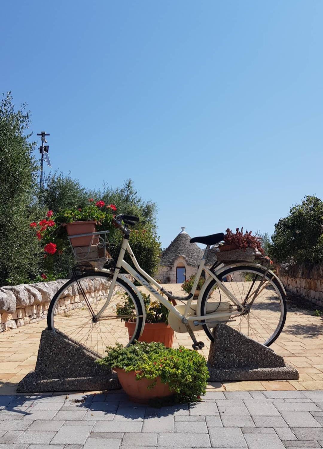La Rosa Dei Trulli B&B Alberobello Eksteriør billede