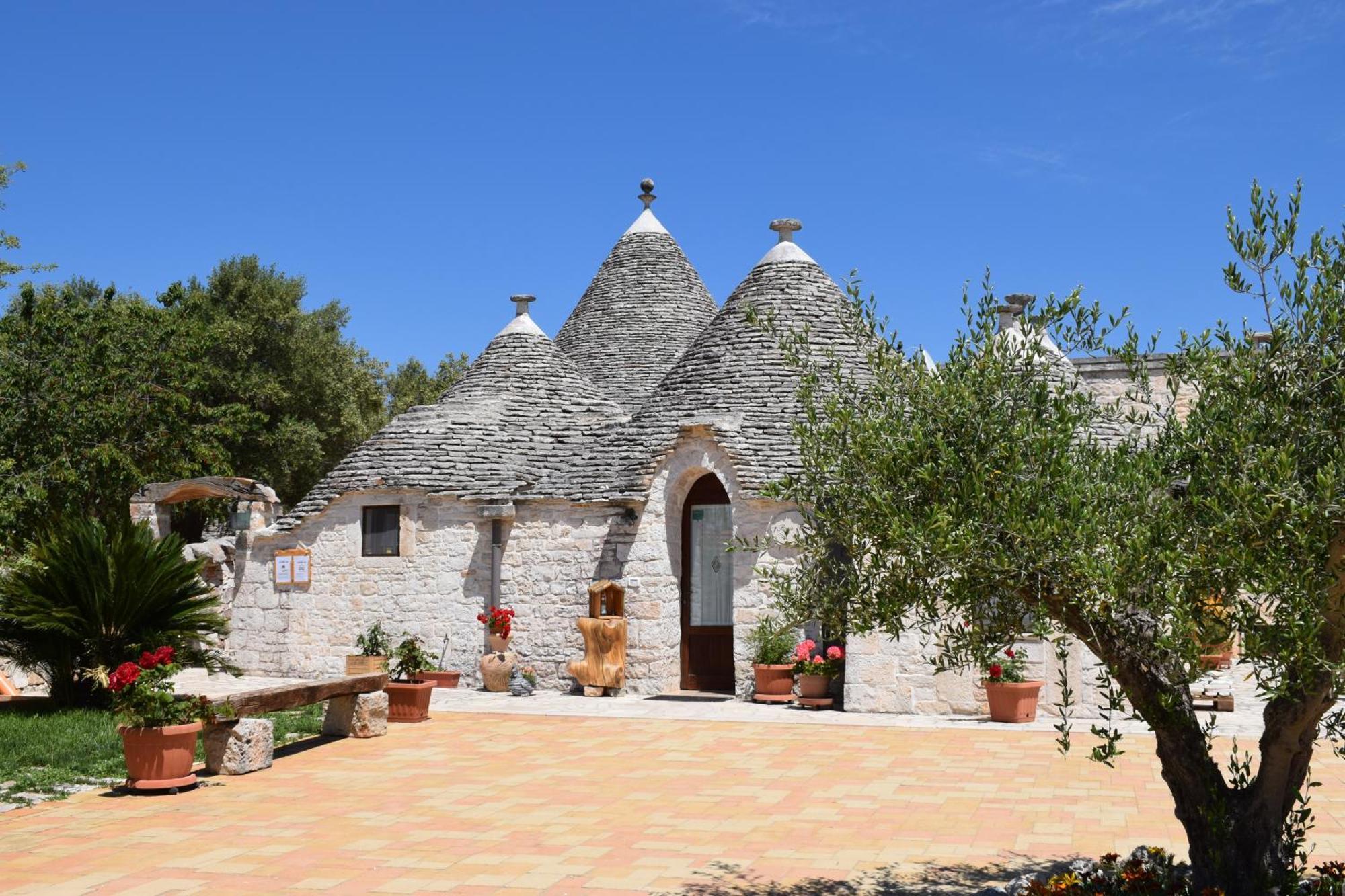 La Rosa Dei Trulli B&B Alberobello Eksteriør billede