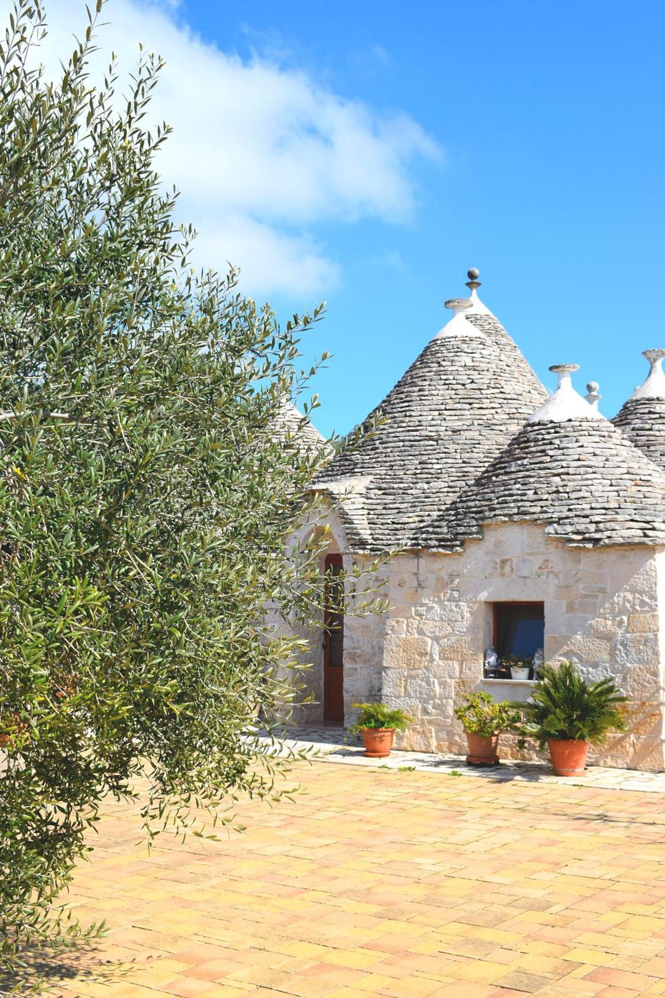 La Rosa Dei Trulli B&B Alberobello Eksteriør billede