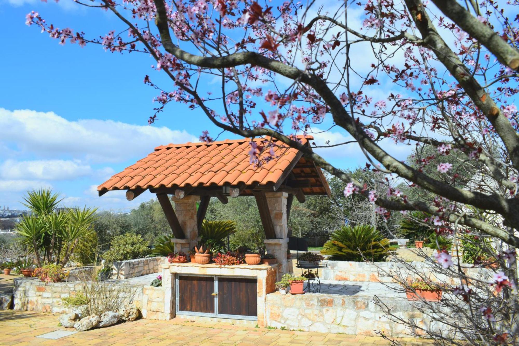 La Rosa Dei Trulli B&B Alberobello Eksteriør billede