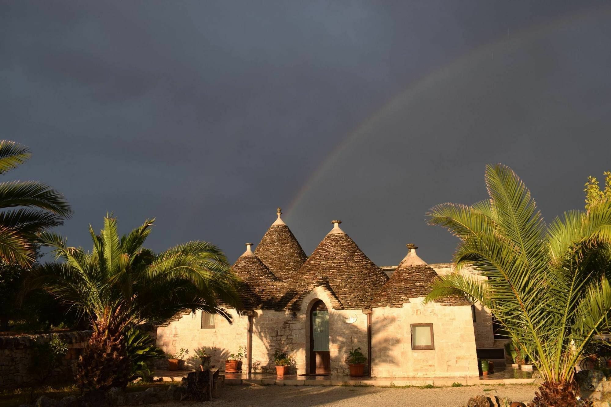 La Rosa Dei Trulli B&B Alberobello Eksteriør billede